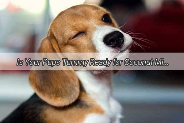 Is Your Pups Tummy Ready for Coconut Milk Pudding A WhiskerWagging Adventure